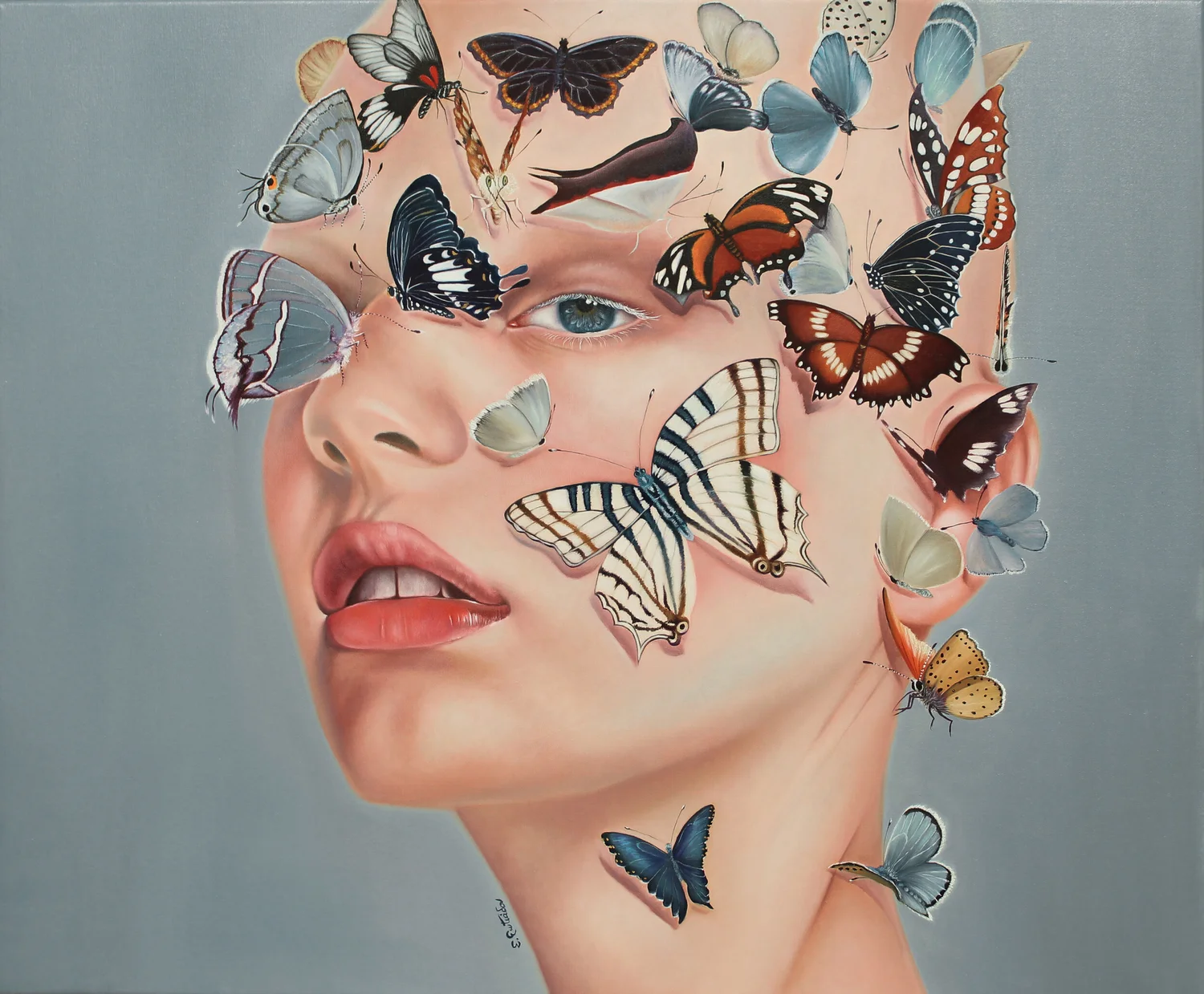 The Gaze of the Butterfly ΙI