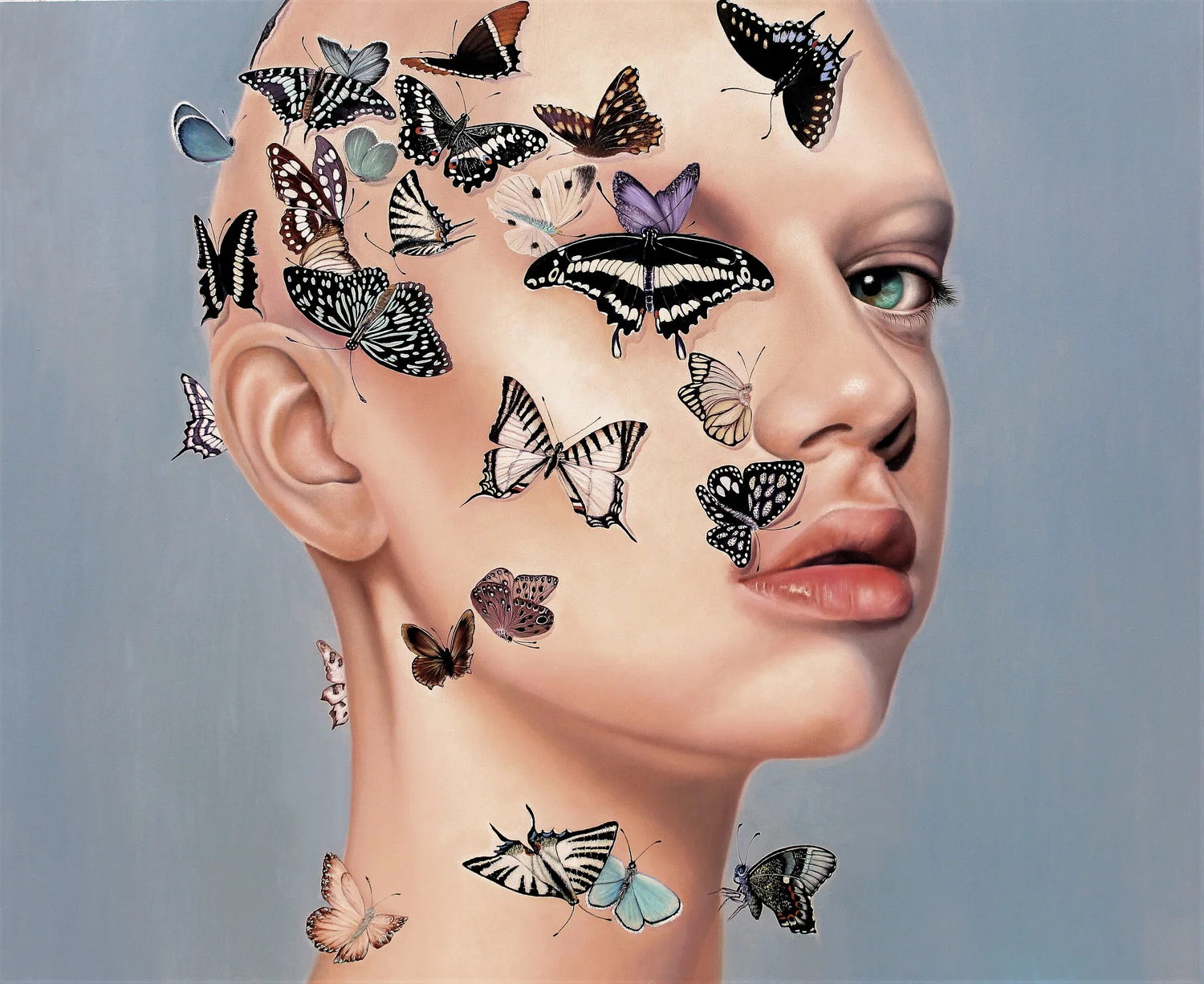 The Gaze of the Butterfly Ι